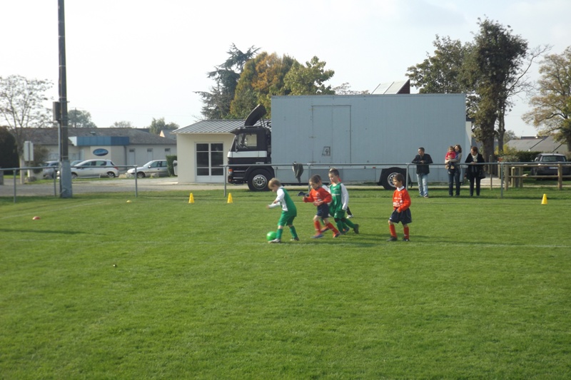photo 2015 683