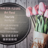Vanessa fleurv2