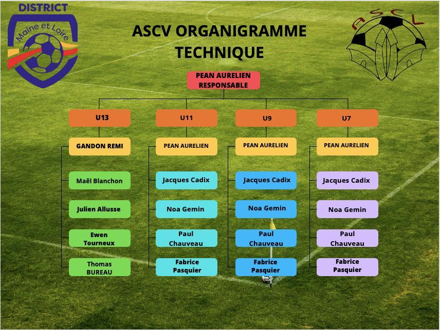 jeunes_organigramme